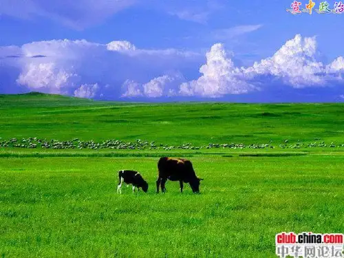 经济生活二轮复习：专题一：生活与消费
