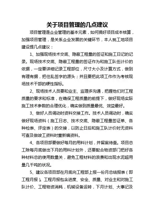 关于项目管理的几点建议