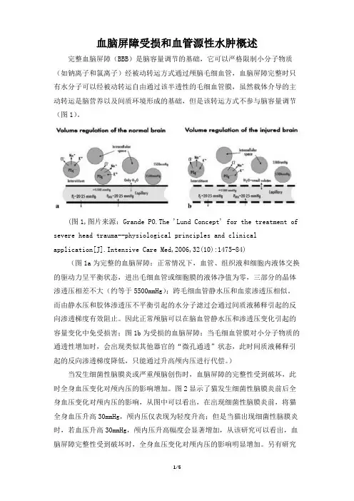 血脑屏障受损和血管源性水肿概述