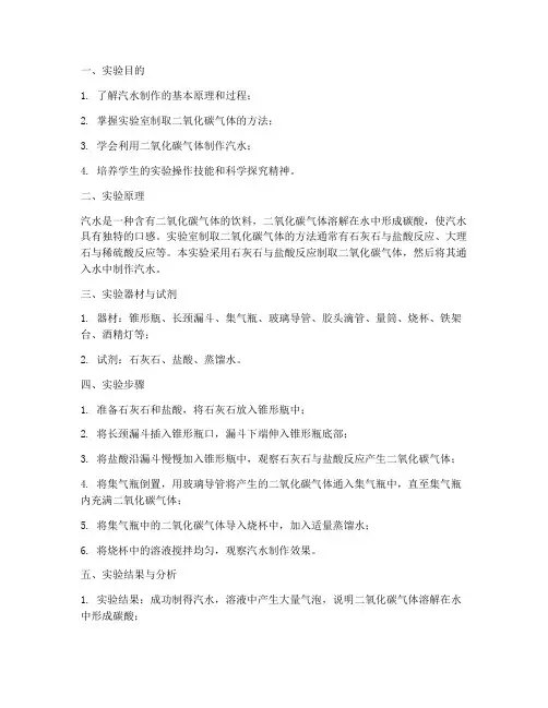 化学自制汽水实验报告