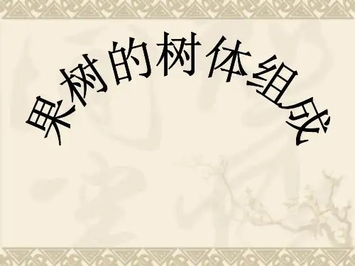 果树的树体组成分析解析