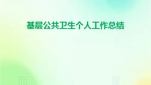 基层公共卫生个人工作总结PPT