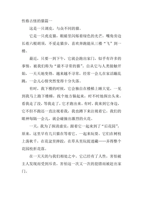 性格古怪的猫