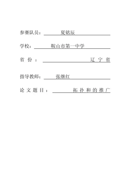 第四届丘成桐中学数学奖获奖论文-拓扑和的推广