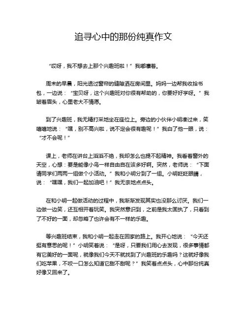 追寻心中的那份纯真作文