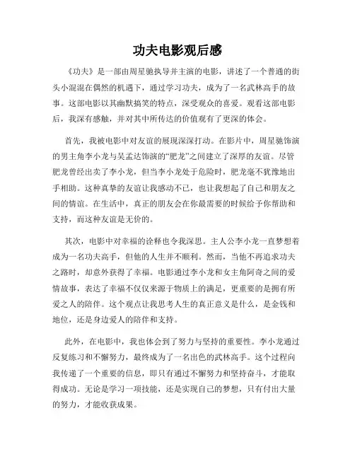 功夫电影观后感