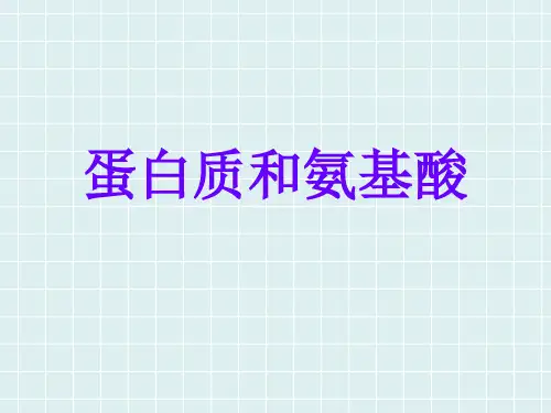 蛋白质和氨基酸