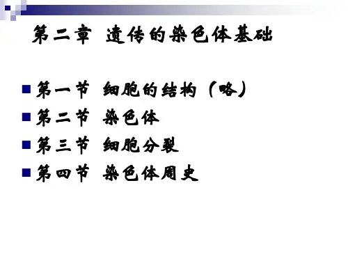 普通遗传学第2章遗传的染色体基础