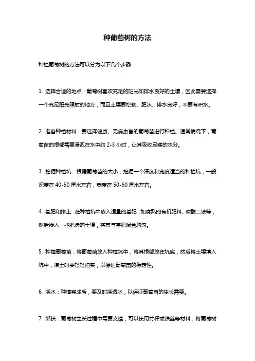 种葡萄树的方法