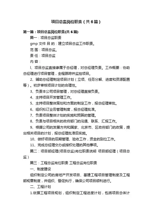 项目总监岗位职责（共6篇）