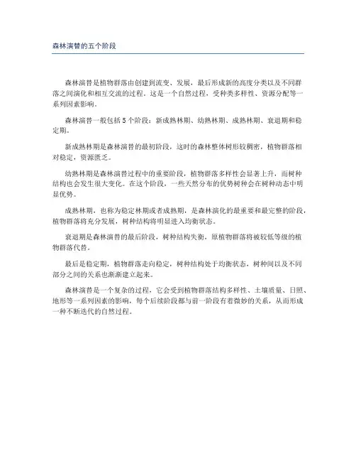 森林演替的五个阶段