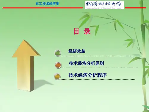 第二章   技术经济分析的基本原理(共48张PPT)