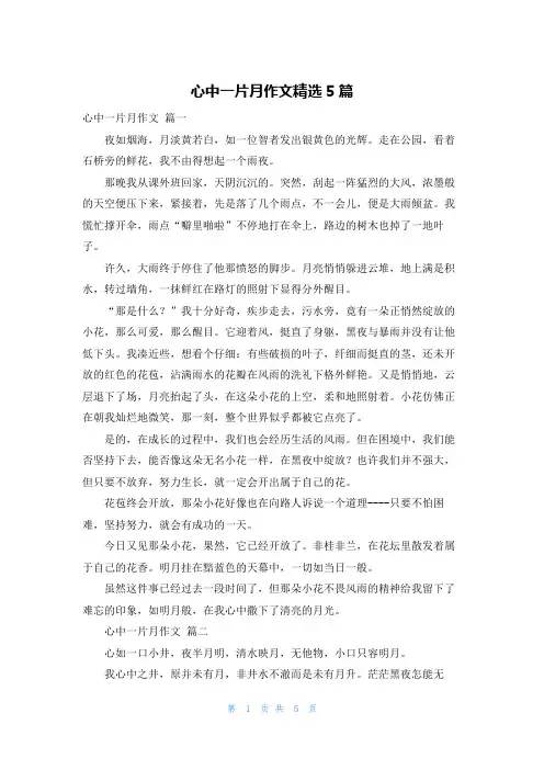 心中一片月作文精选5篇