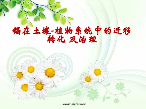 环境化学
