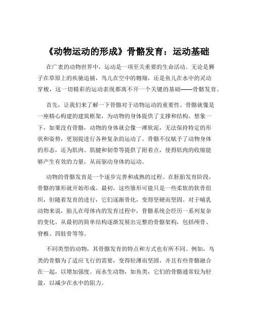 《动物运动的形成》骨骼发育：运动基础