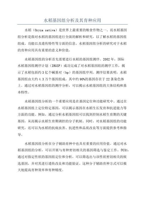 水稻基因组分析及其育种应用