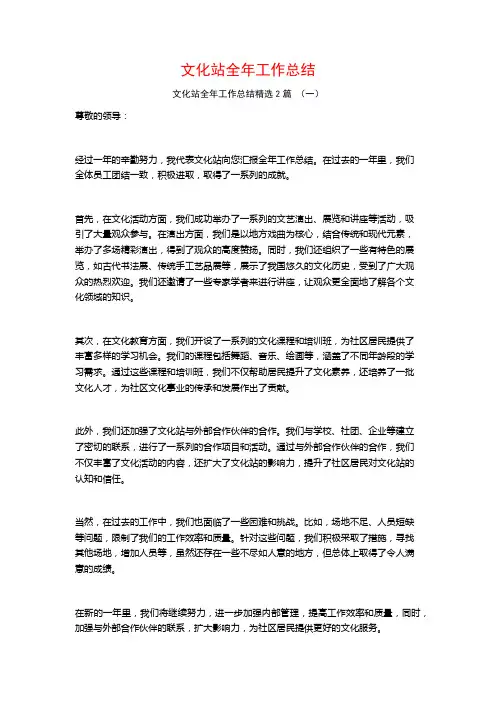 文化站全年工作总结2篇