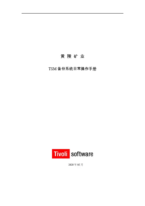 IBM TSM备份系统系统日常操作