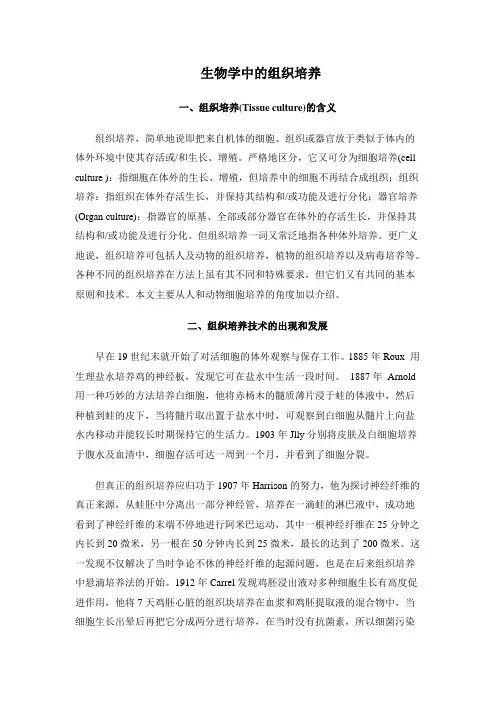 生物学中的组织培养