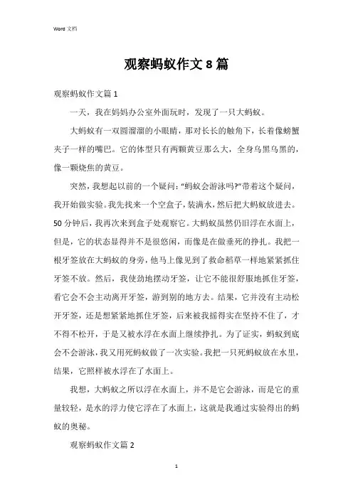 观察蚂蚁作文8篇
