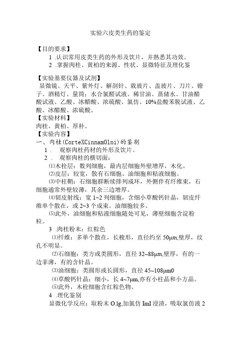 石大生药学实验指导06皮类生药的鉴定