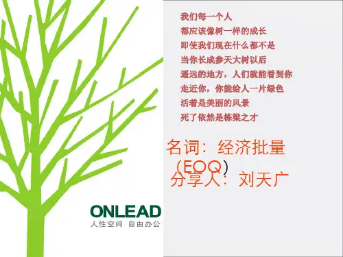 《经济批量刘天广》PPT课件