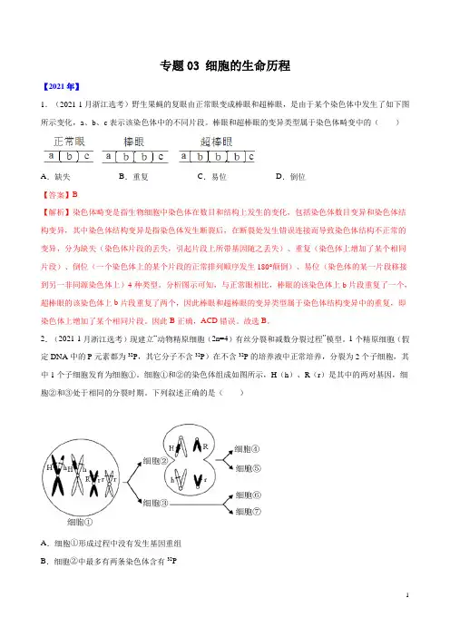 专题03 细胞的生命历程-五年(2017-2021)高考生物真题分项详解(全国通用)(解析版)