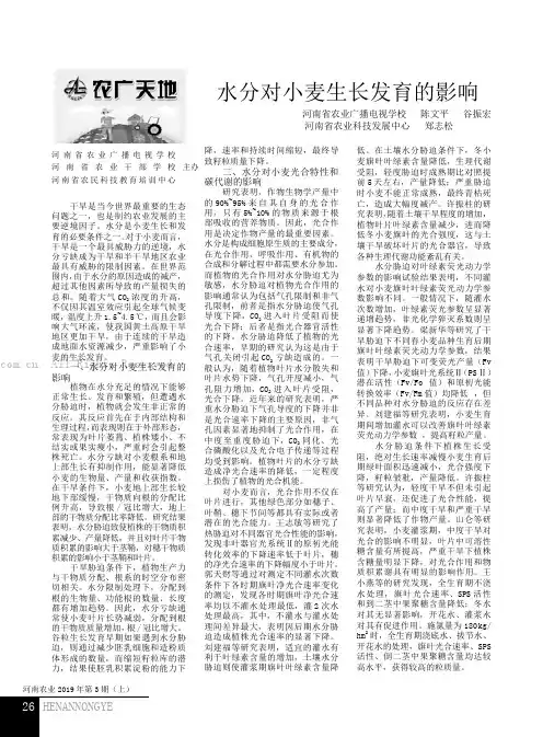 水分对小麦生长发育的影响