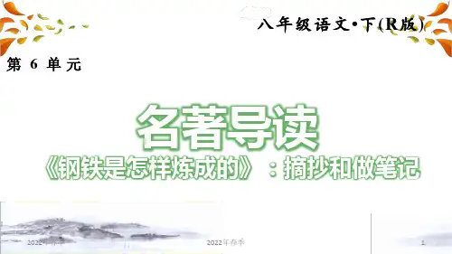 人教部编版八年级下学期第六单元名著导读《钢铁是怎样炼成的》：摘抄和做笔记