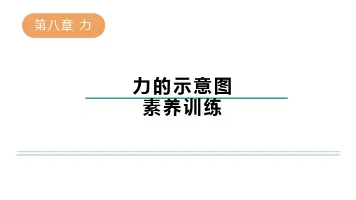 第八章力-力的示意图素养训练苏科版物理八年级下册