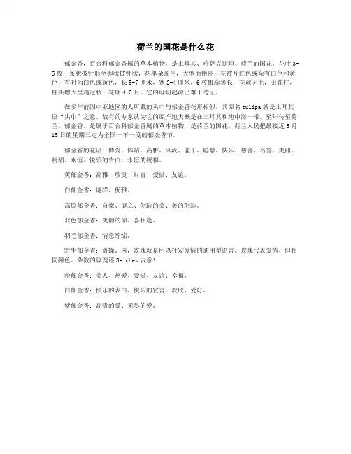 荷兰的国花是什么花