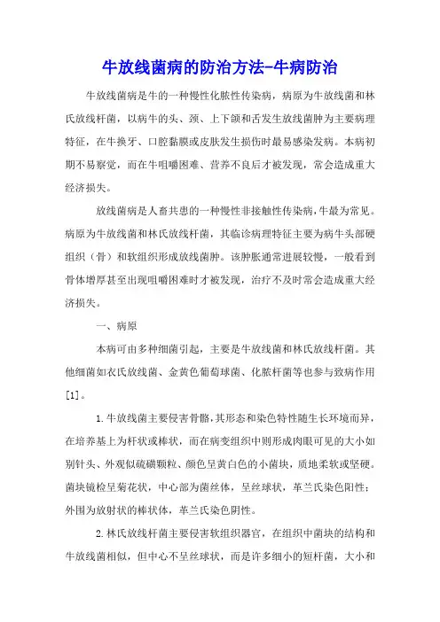 牛放线菌病的防治方法 - 牛病防治