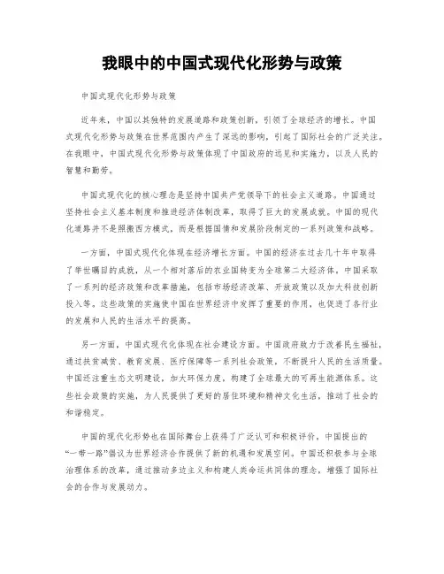 我眼中的中国式现代化形势与政策