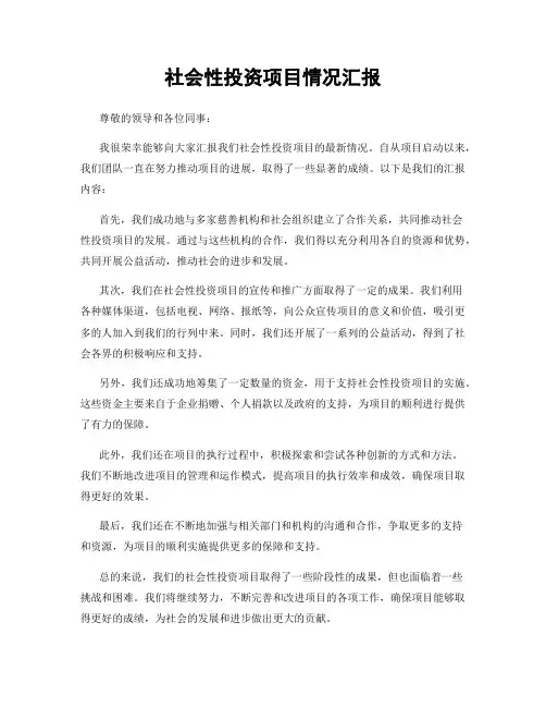 社会性投资项目情况汇报