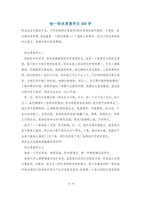 初一阳光男孩作文500字