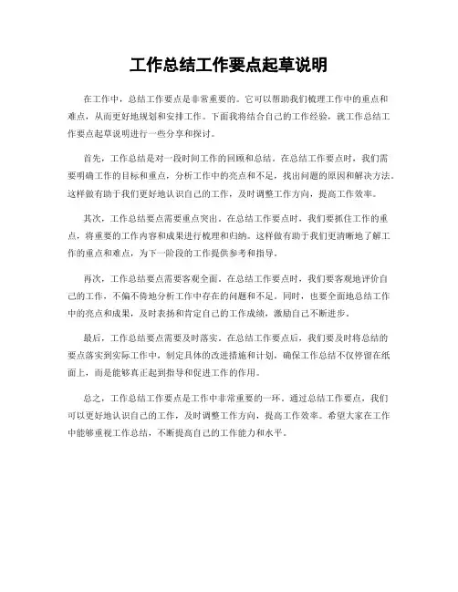 工作总结工作要点起草说明