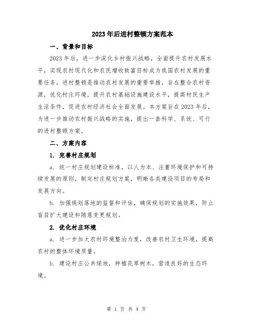 2023年后进村整顿方案范本