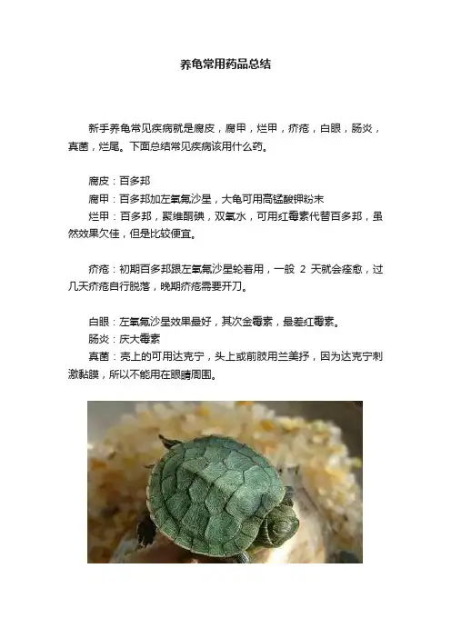 养龟常用药品总结