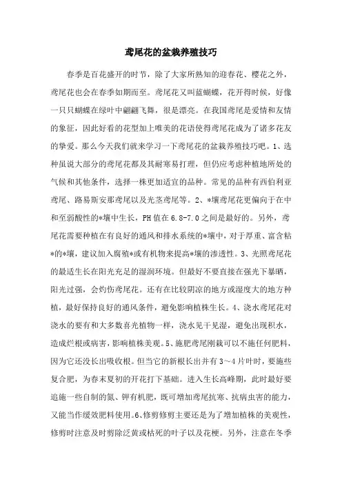 鸢尾花的盆栽养殖技巧