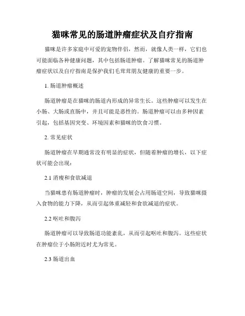 猫咪常见的肠道肿瘤症状及自疗指南