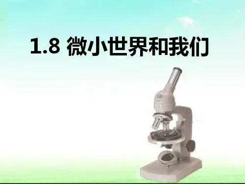 六年级下册科学课件1.8微小世界和我们(6)｜ 教科版(共15张PPT)