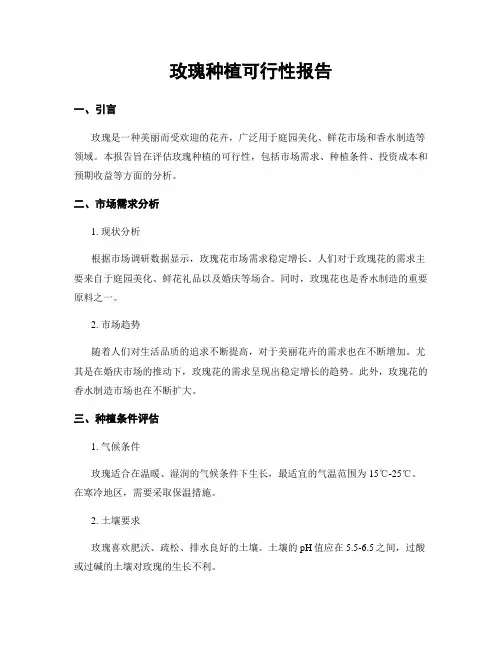 玫瑰种植可行性报告