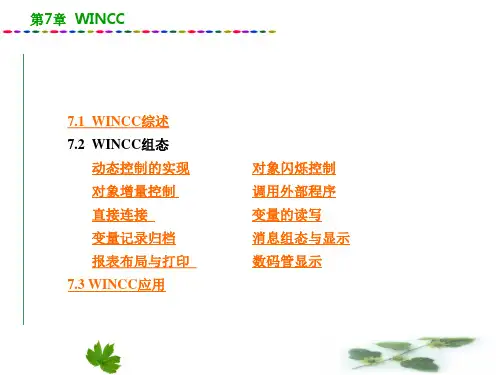 第7章-WINCCPPT优秀课件