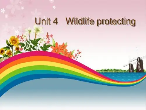 高中英语必修二  Unit 4  ppt