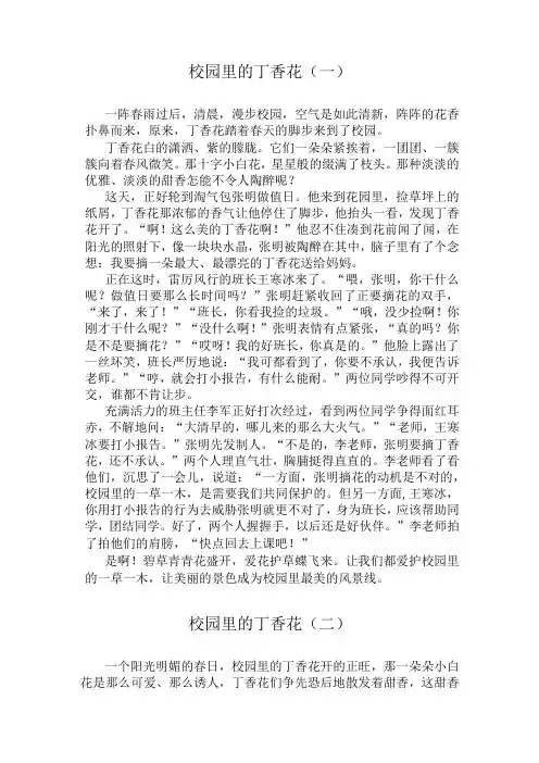 统编版六年级语文上册第四单元习作：《笔尖流出的故事》范文(共12篇)