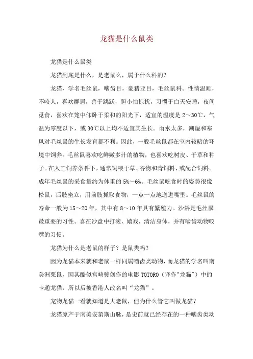 龙猫是什么鼠类