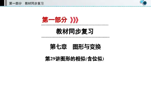 中考数学复习第七章图形与变换第29讲图形的相似(含位似)
