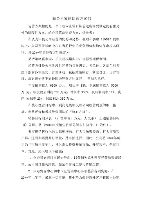 新公司筹建运营计划书