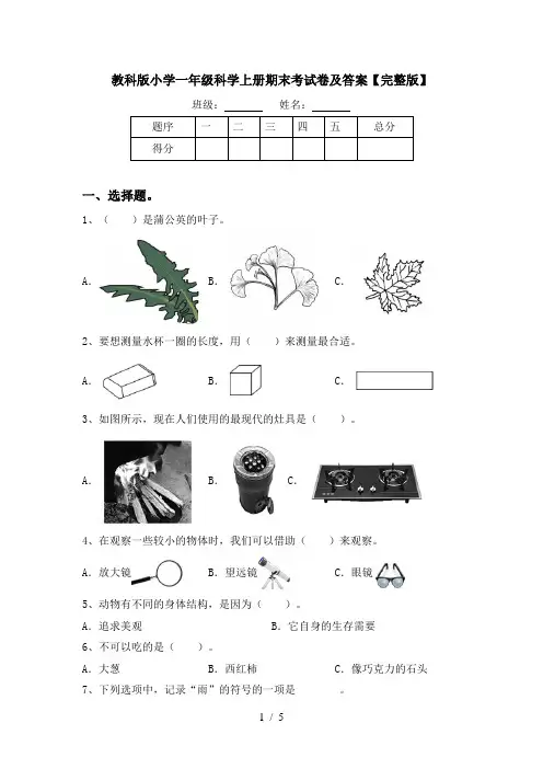 教科版小学一年级科学上册期末考试卷及答案【完整版】