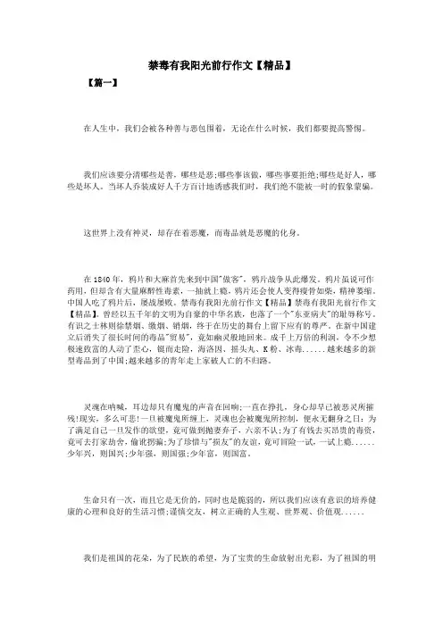 禁毒有我阳光前行作文【精品】